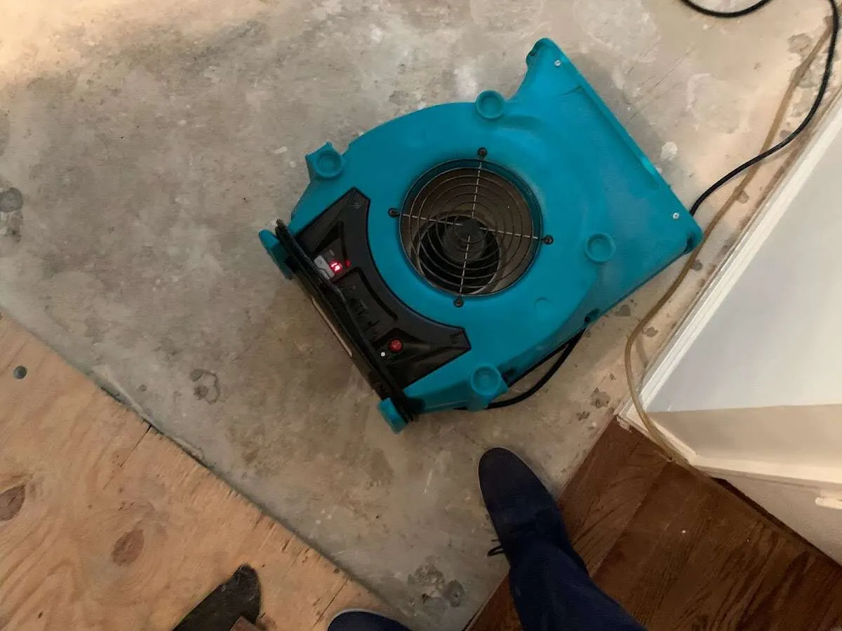 Air mover drying subfloor during Commercial Water Damage Restoration in Napoleon